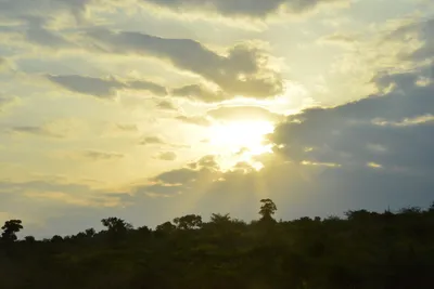 DSC_5398 (Large).JPG